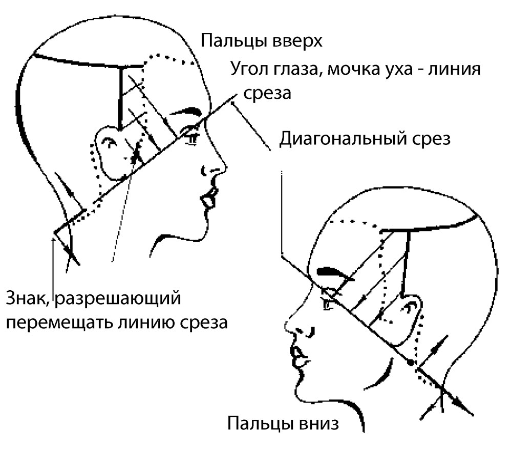 Схема загущения висков