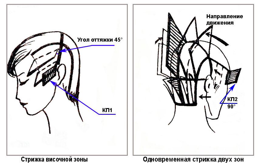 Схема углов. Схема стрижки Боб каре градуированное. Схемы височных зон в стрижках. Угол оттяжки 45 градусов схема. Деление на зоны при стрижке Каскад.